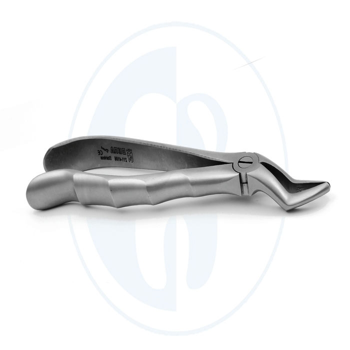 کالای دندانپزشکی فورسپس ریشه کش آناتومیک- Root Anatomical Forceps